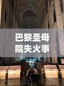 巴黎圣母院失火事件深度剖析