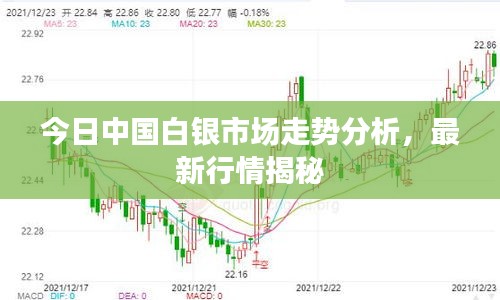 今日中国白银市场走势分析，最新行情揭秘
