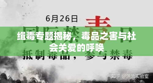 缉毒专题揭秘，毒品之害与社会关爱的呼唤
