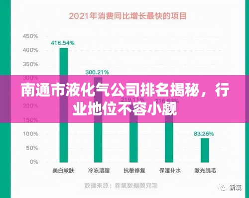 南通市液化气公司排名揭秘，行业地位不容小觑