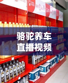 骆驼养车直播视频大全，最新直播动态一网打尽！