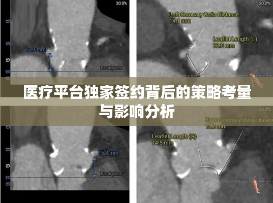 医疗平台独家签约背后的策略考量与影响分析