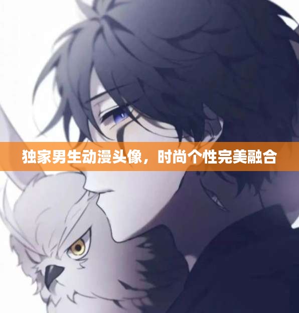 独家男生动漫头像，时尚个性完美融合