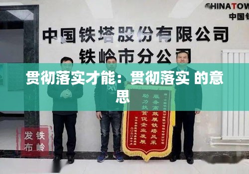 贯彻落实才能：贯彻落实 的意思 