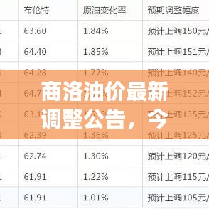 商洛油价最新调整公告，今日油价变动揭晓！