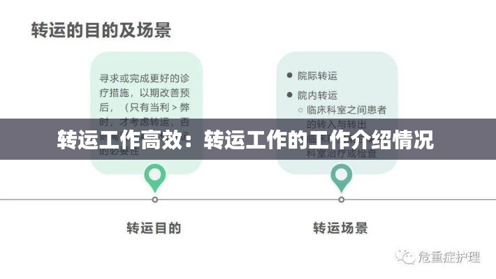 转运工作高效：转运工作的工作介绍情况 
