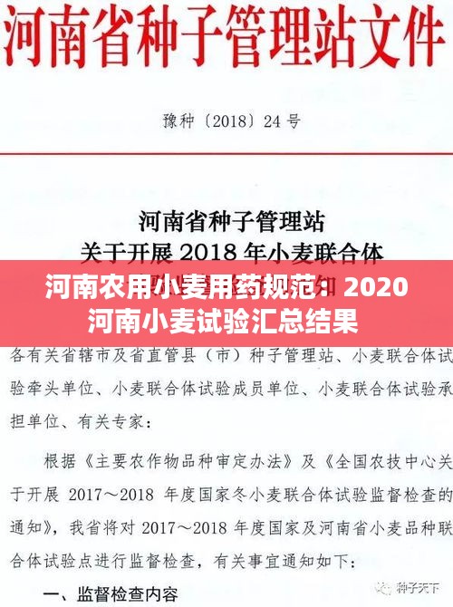 熊经鸟申 第2页