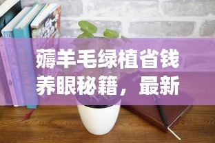 薅羊毛绿植省钱养眼秘籍，最新攻略大揭秘！