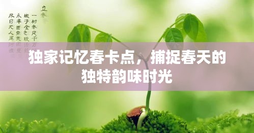 独家记忆春卡点，捕捉春天的独特韵味时光