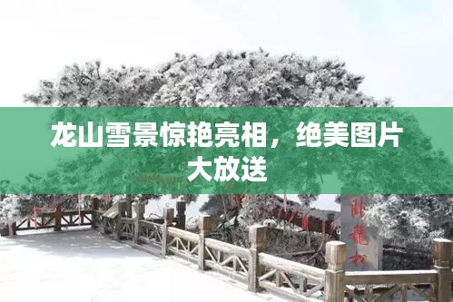 龙山雪景惊艳亮相，绝美图片大放送