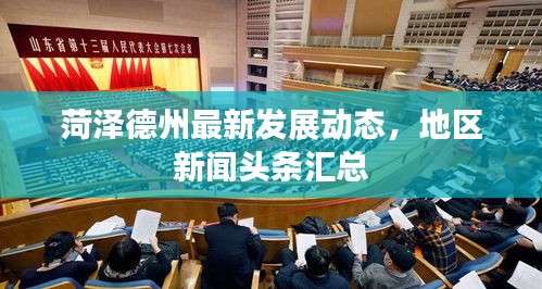菏泽德州最新发展动态，地区新闻头条汇总
