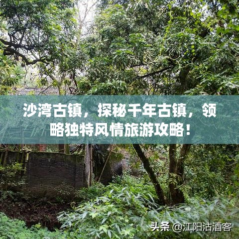 一毫不苟 第2页