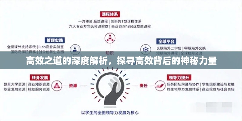高效之道的深度解析，探寻高效背后的神秘力量