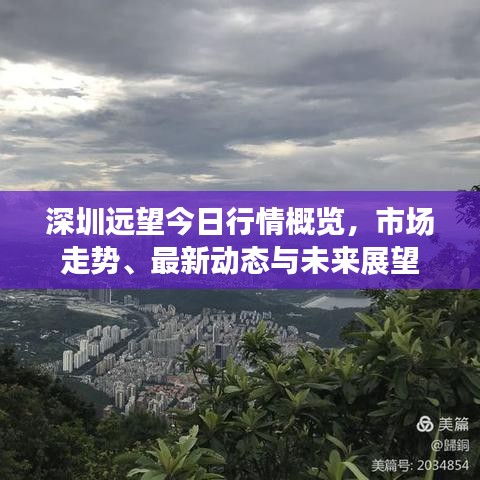 深圳远望今日行情概览，市场走势、最新动态与未来展望