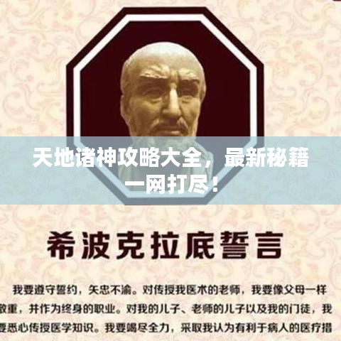 天地诸神攻略大全，最新秘籍一网打尽！