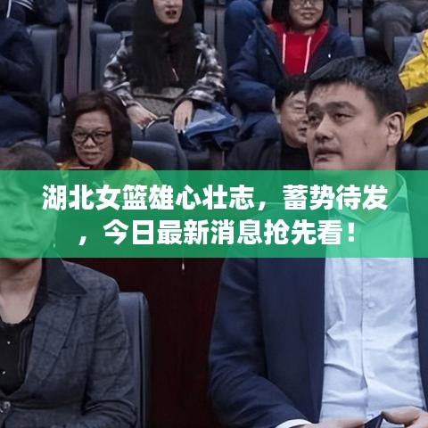 湖北女篮雄心壮志，蓄势待发，今日最新消息抢先看！