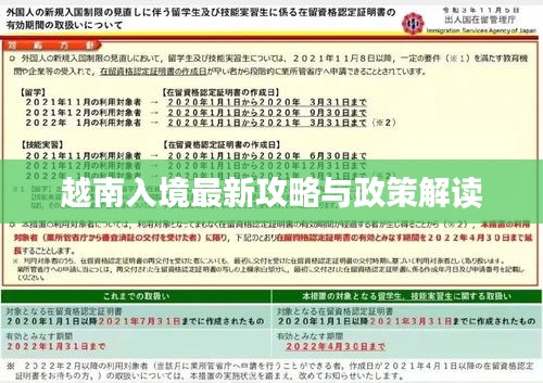 越南入境最新攻略与政策解读
