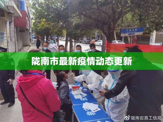 陇南市最新疫情动态更新