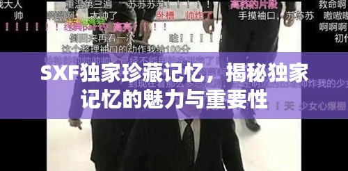 SXF独家珍藏记忆，揭秘独家记忆的魅力与重要性