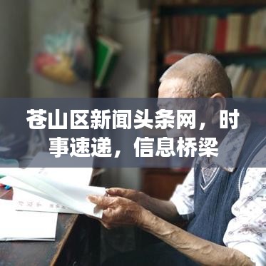 苍山区新闻头条网，时事速递，信息桥梁