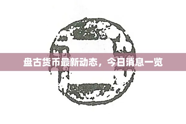 盘古货币最新动态，今日消息一览