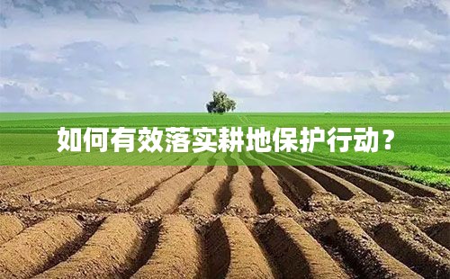 如何有效落实耕地保护行动？