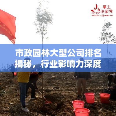 市政园林大型公司排名揭秘，行业影响力深度探讨