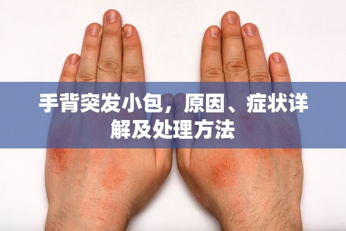 手背突发小包，原因、症状详解及处理方法