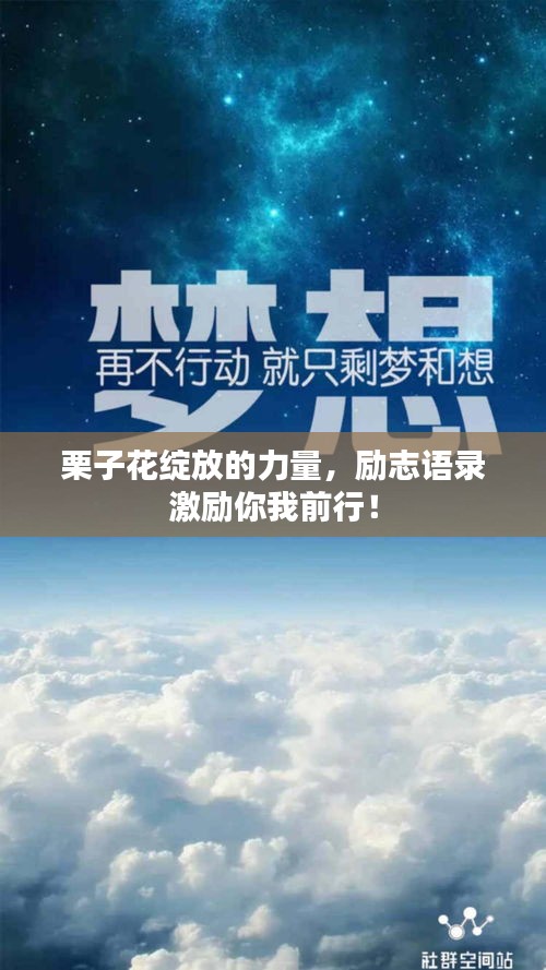 栗子花绽放的力量，励志语录激励你我前行！