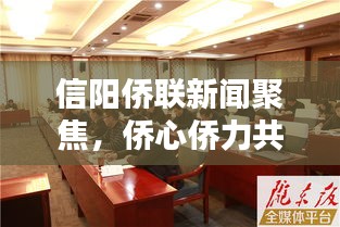 信阳侨联新闻聚焦，侨心侨力共筑美好信阳