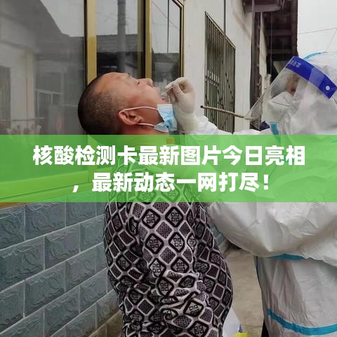 核酸检测卡最新图片今日亮相，最新动态一网打尽！