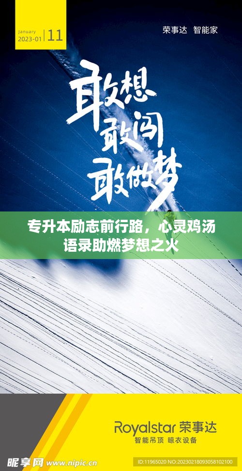 专升本励志前行路，心灵鸡汤语录助燃梦想之火
