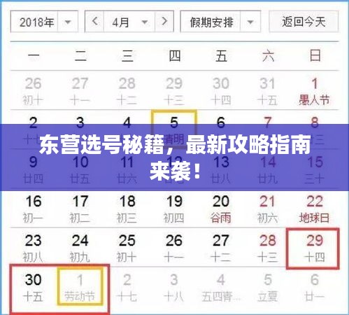 东营选号秘籍，最新攻略指南来袭！