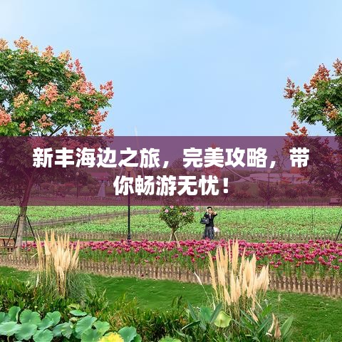 新丰海边之旅，完美攻略，带你畅游无忧！