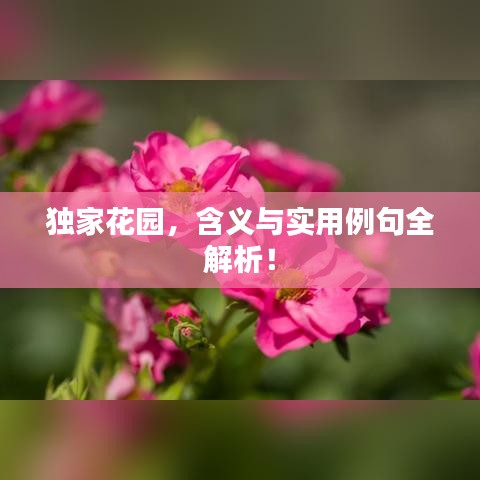 独家花园，含义与实用例句全解析！