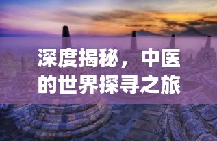 深度揭秘，中医的世界探寻之旅