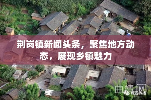 荆岗镇新闻头条，聚焦地方动态，展现乡镇魅力