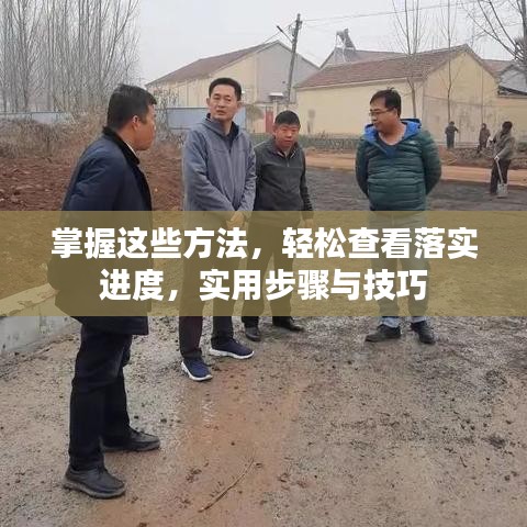 掌握这些方法，轻松查看落实进度，实用步骤与技巧