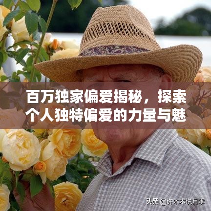 百万独家偏爱揭秘，探索个人独特偏爱的力量与魅力之源