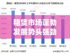 租赁市场蓬勃发展势头强劲，成为投资新宠！