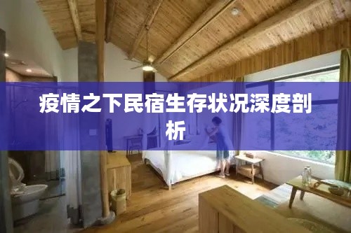 疫情之下民宿生存状况深度剖析