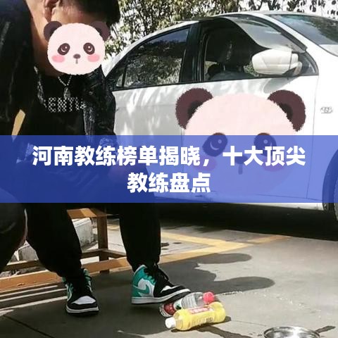 河南教练榜单揭晓，十大顶尖教练盘点