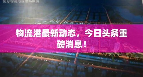 物流港最新动态，今日头条重磅消息！