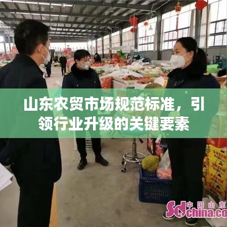 山东农贸市场规范标准，引领行业升级的关键要素