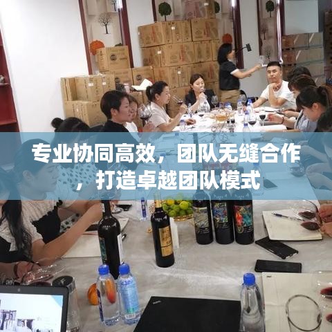 专业协同高效，团队无缝合作，打造卓越团队模式
