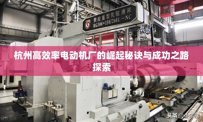 杭州高效率电动机厂的崛起秘诀与成功之路探索