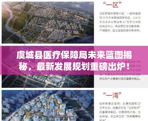 虞城县医疗保障局未来蓝图揭秘，最新发展规划重磅出炉！