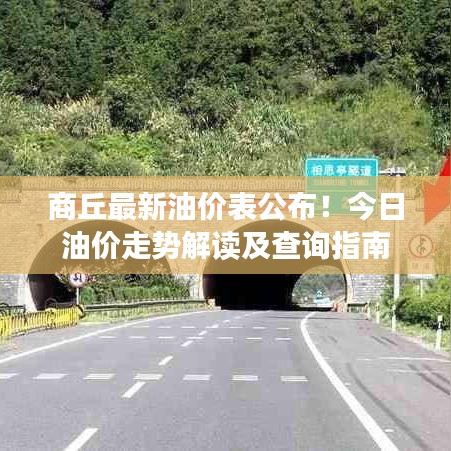 商丘最新油价表公布！今日油价走势解读及查询指南