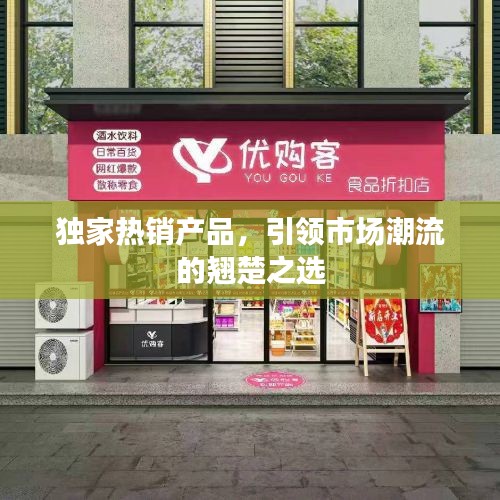 独家热销产品，引领市场潮流的翘楚之选