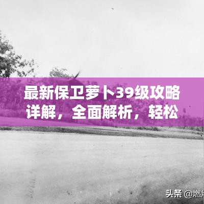 最新保卫萝卜39级攻略详解，全面解析，轻松过关！
